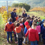 uscita didattica vendemmia