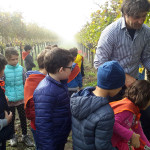 uscita didattica vendemmia